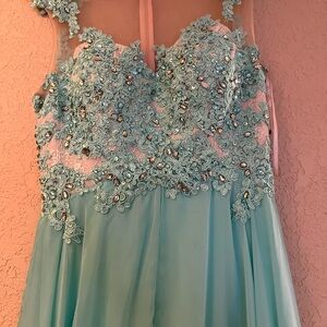 Elegant mint Embellished Gown